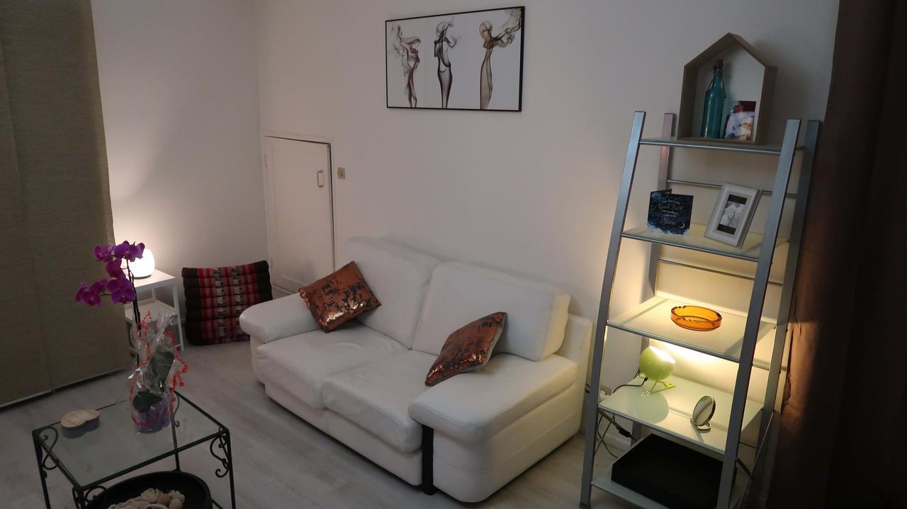 La Cour Victoria - Vosges Place & St Dizier St -27M2 Nancy Kültér fotó
